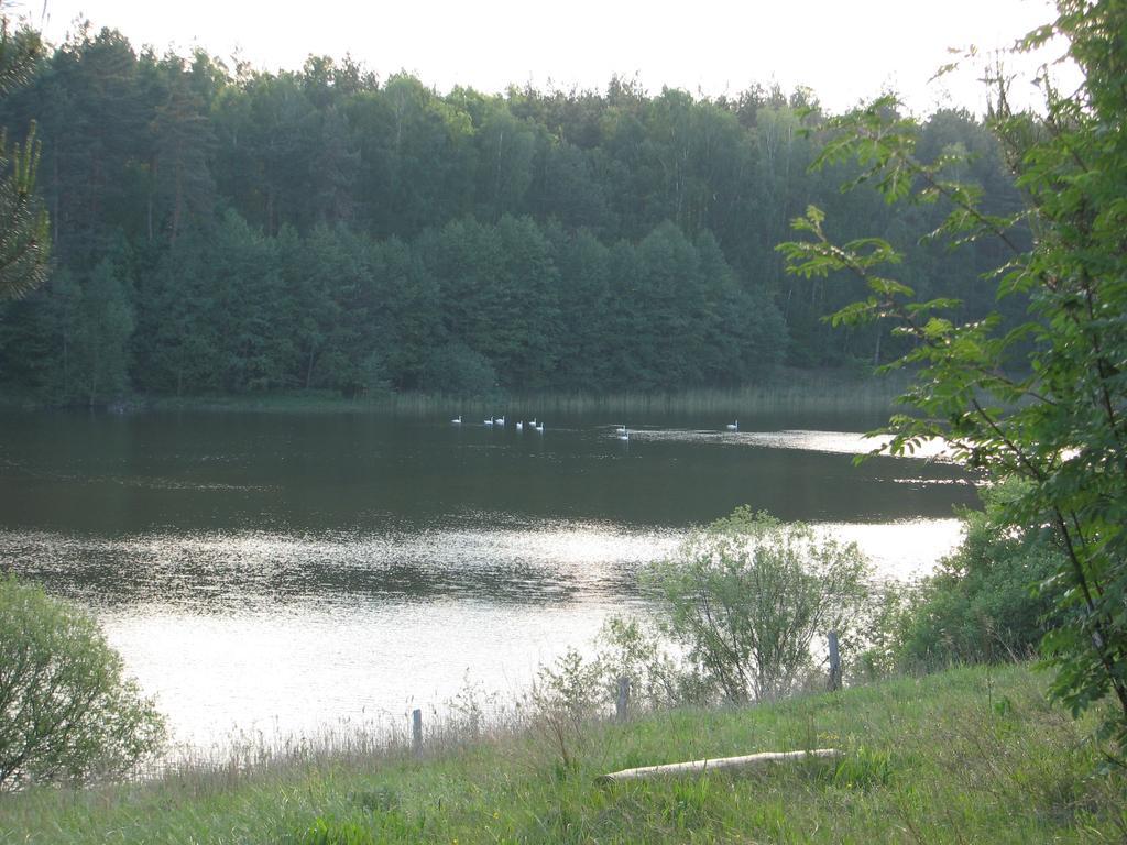 Za Piecem Villa Guzowy Piec Bagian luar foto